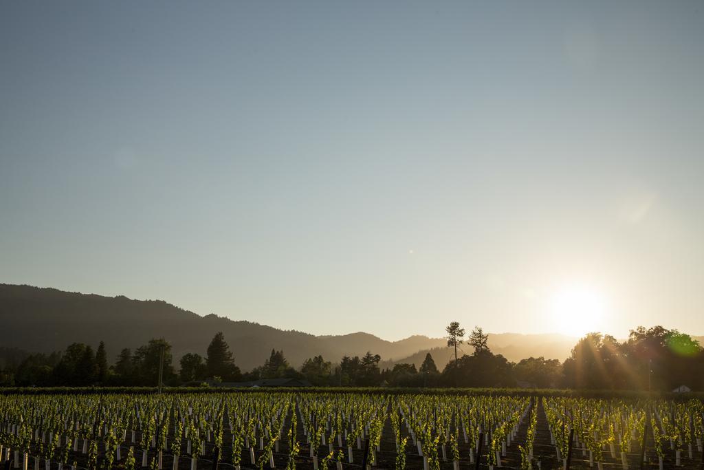 Harvest Inn St. Helena Exteriör bild