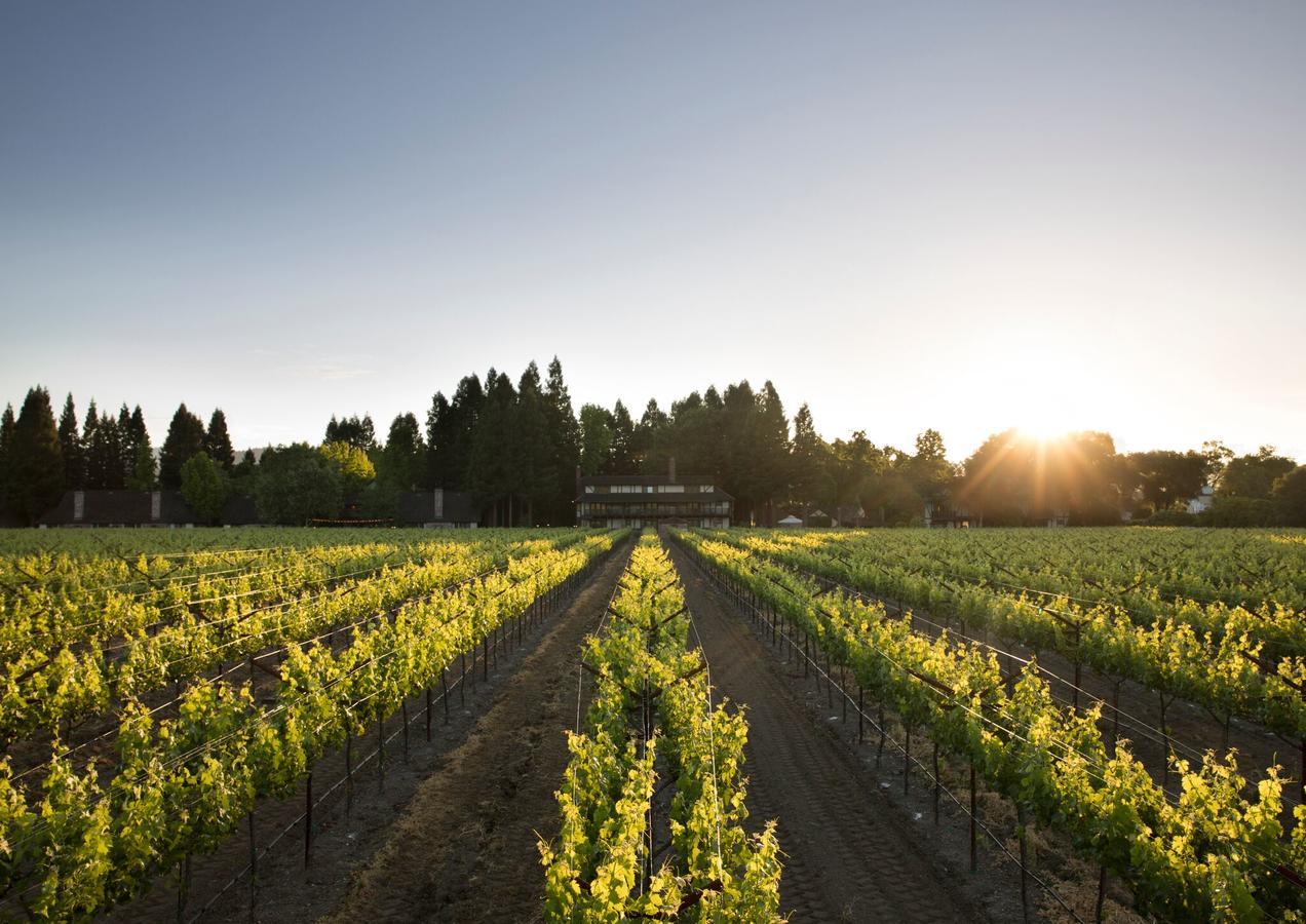 Harvest Inn St. Helena Exteriör bild
